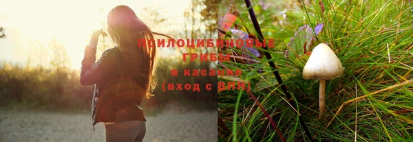 a pvp Алексин